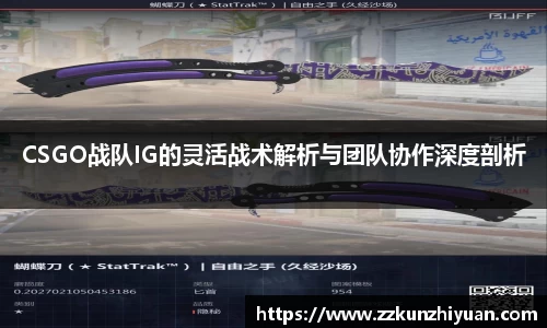CSGO战队IG的灵活战术解析与团队协作深度剖析